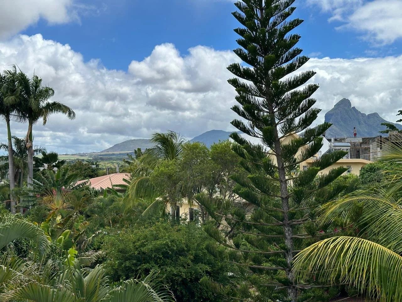 Property image n°1