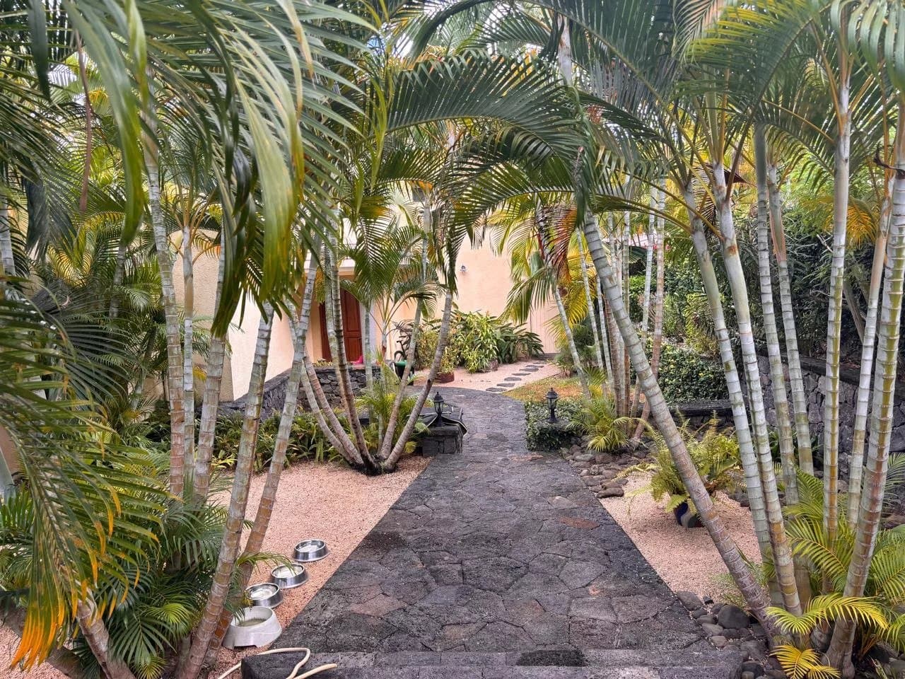 Property image n°18