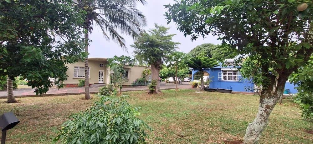 Property image n°2