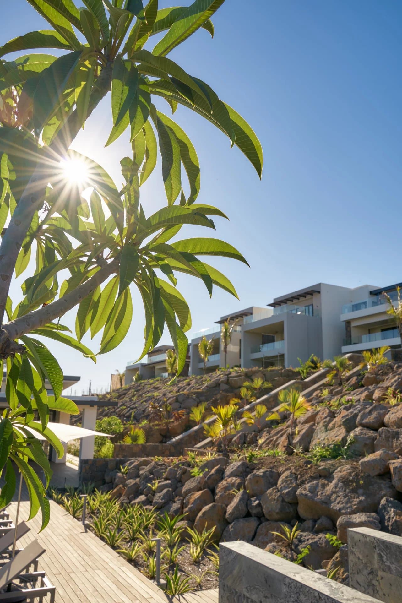 Property image n°11
