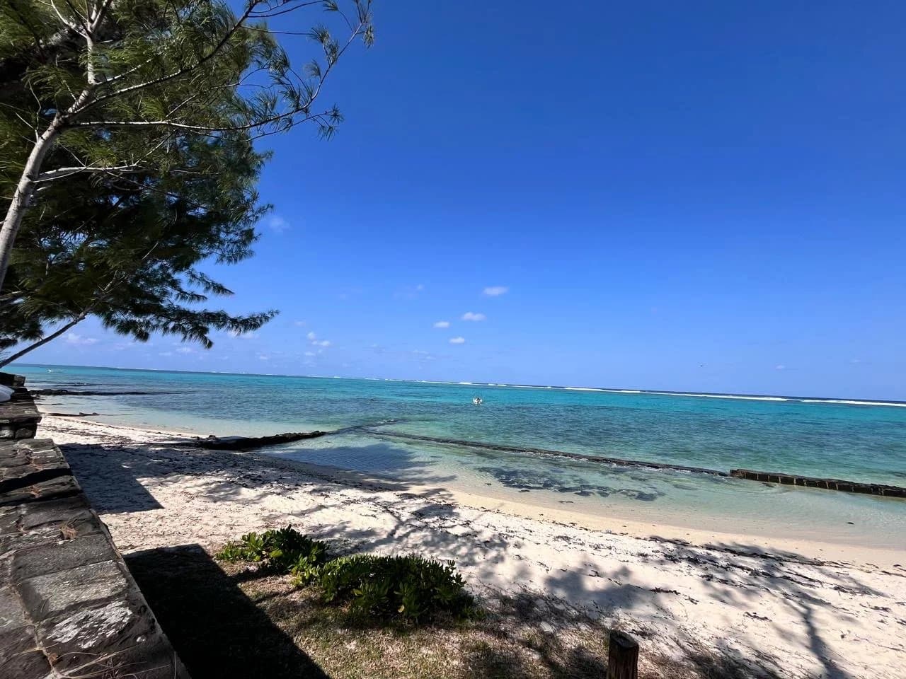 Property image n°1