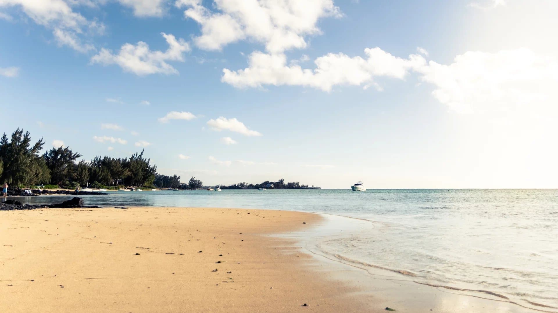 Property image n°18