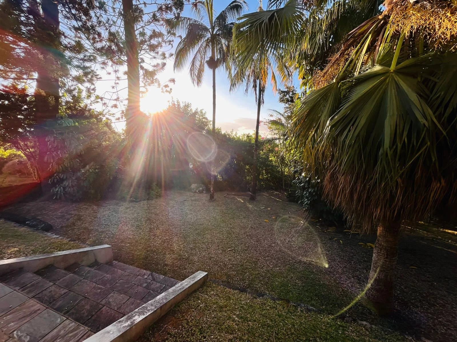 Property image n°11