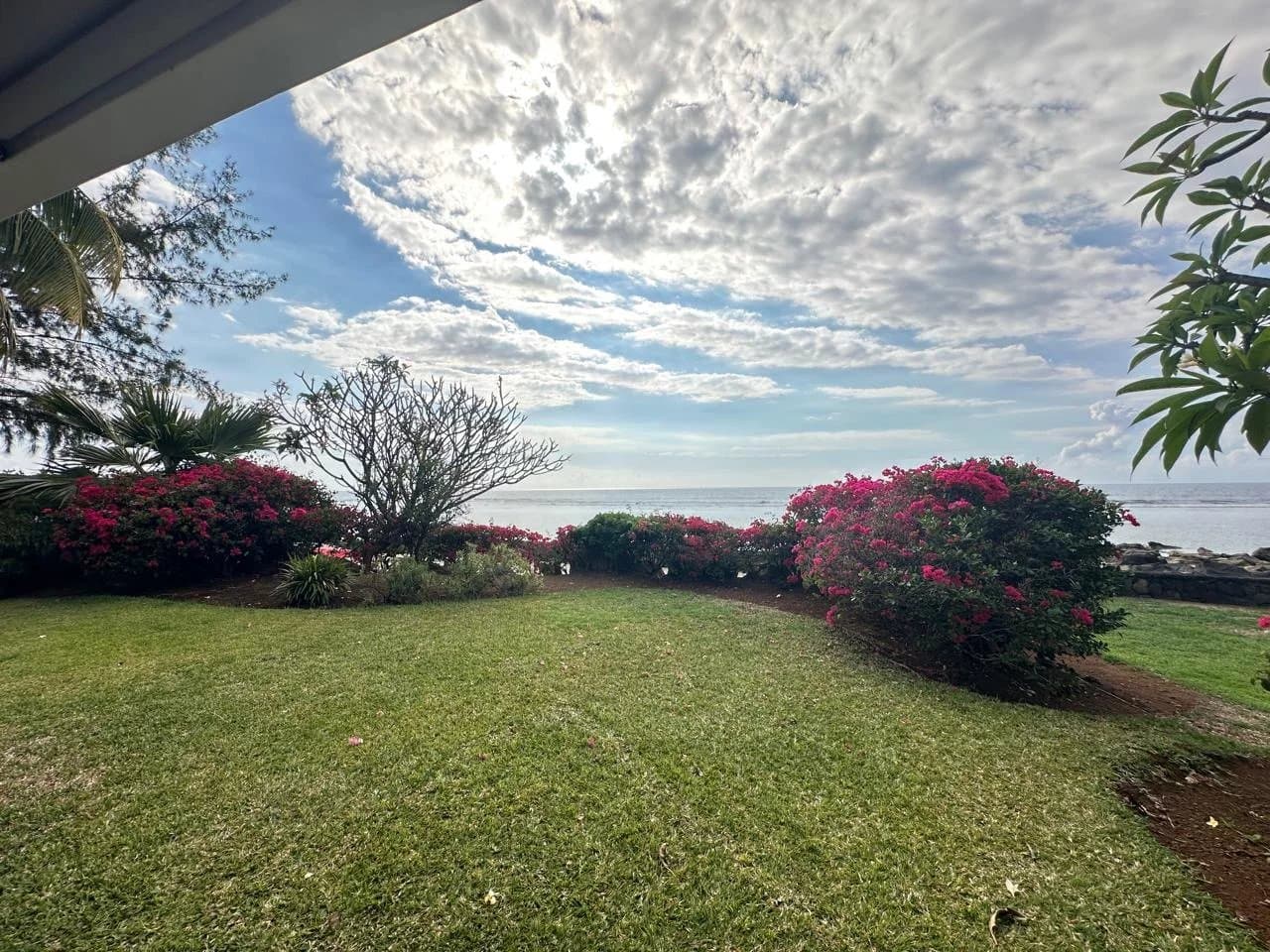 Property image n°15