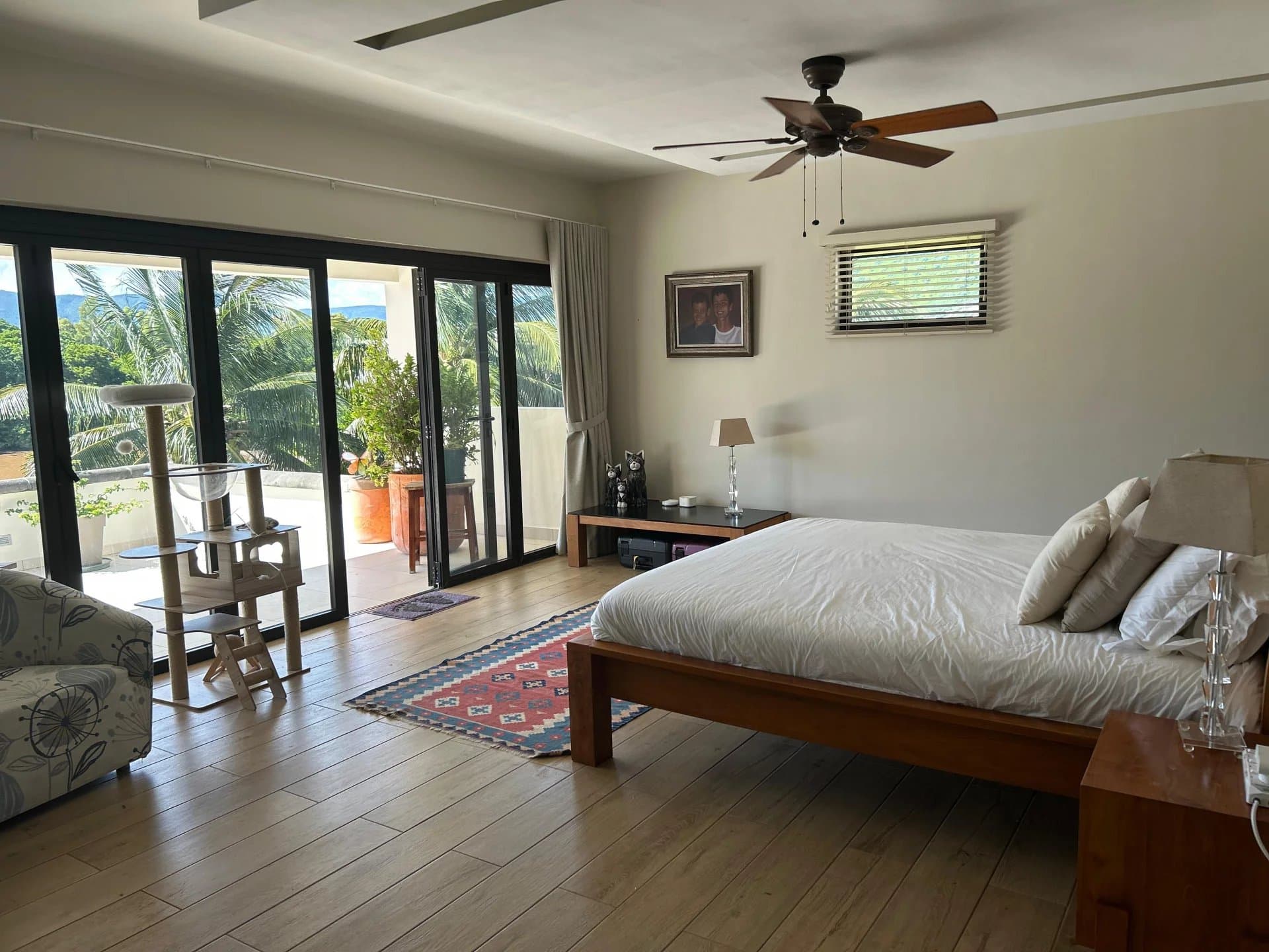 Property image n°4