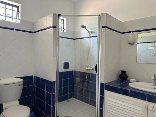 Property image n°7