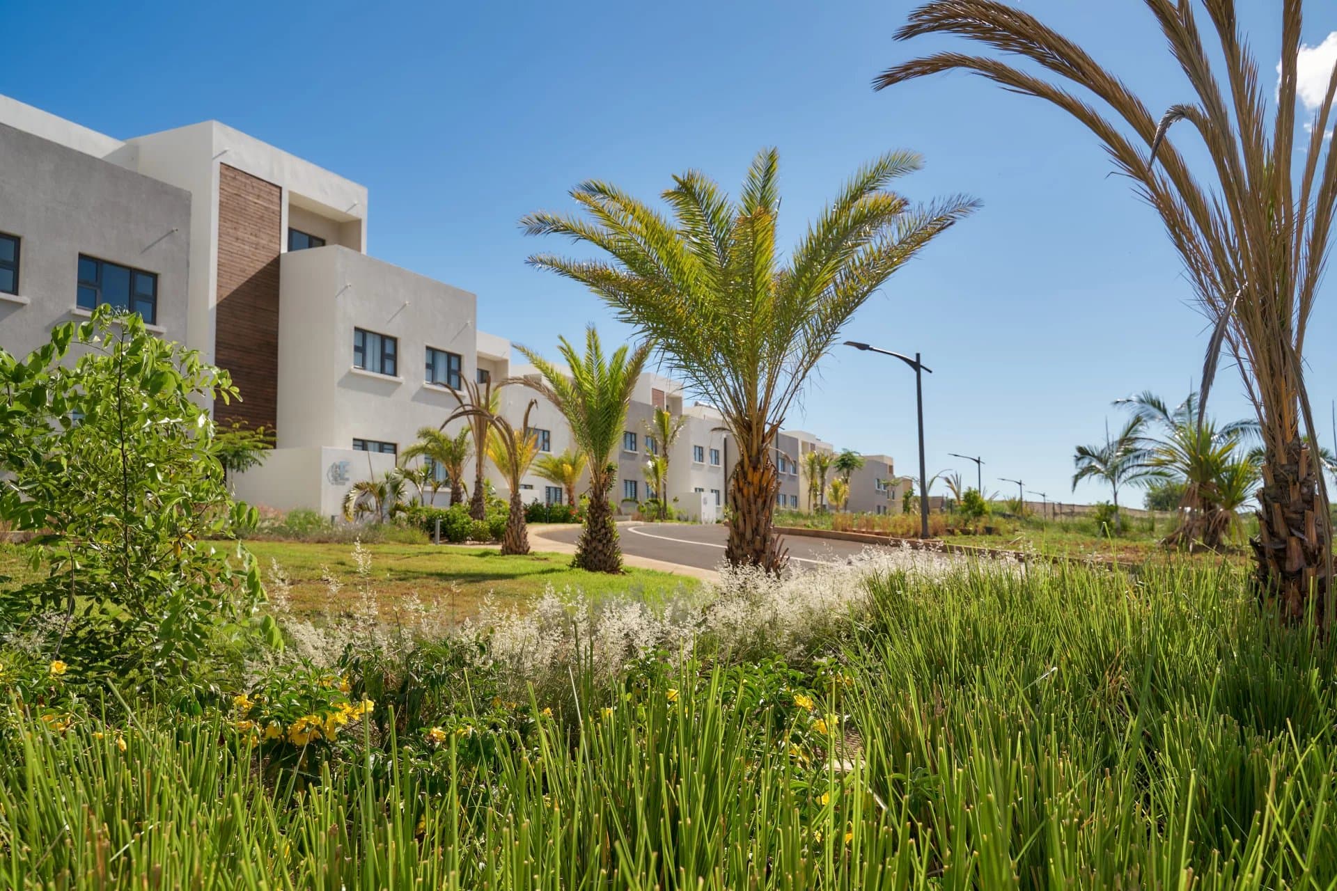 Property image n°16
