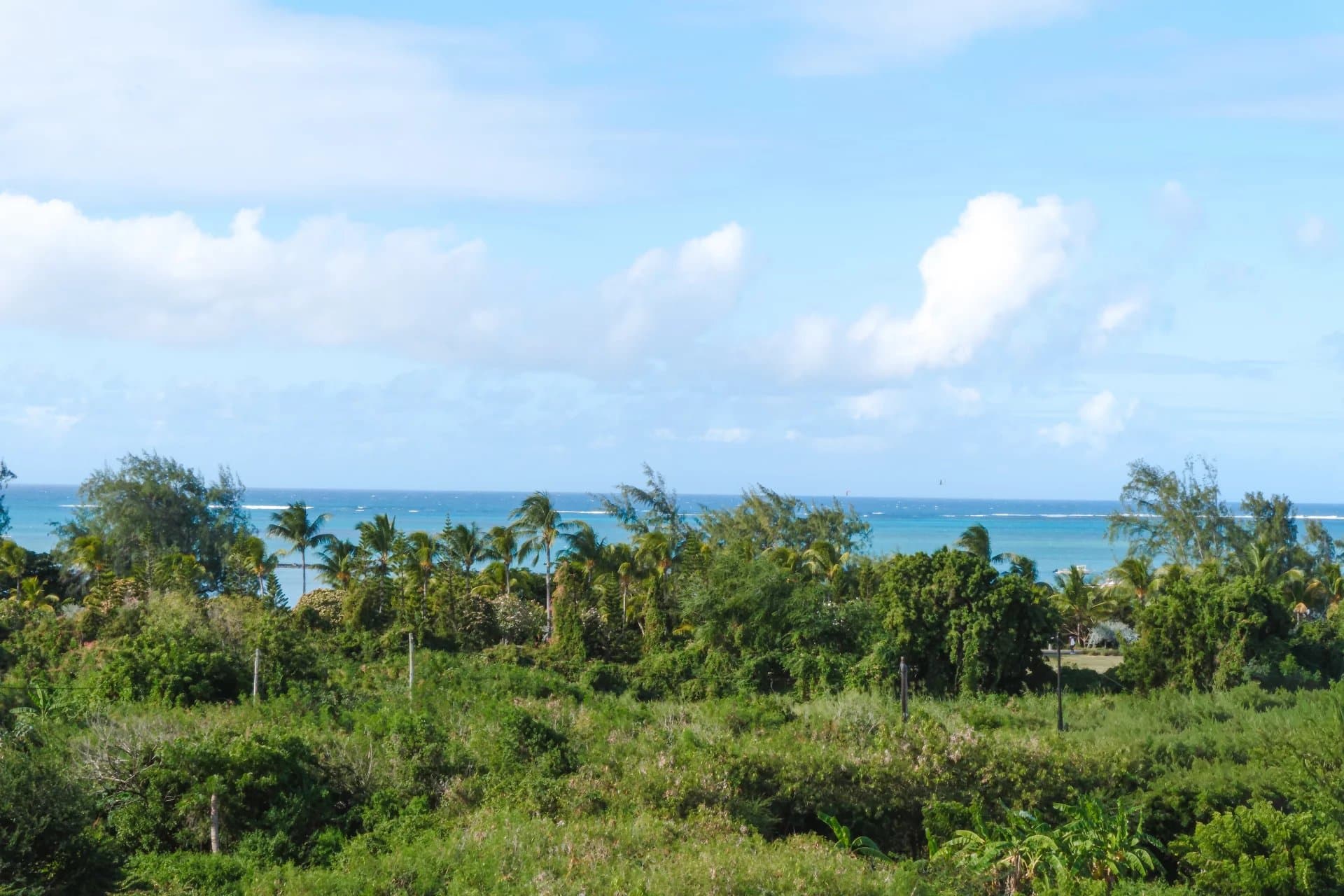 Property image n°31