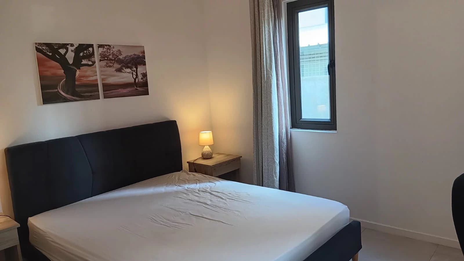 Property image n°13