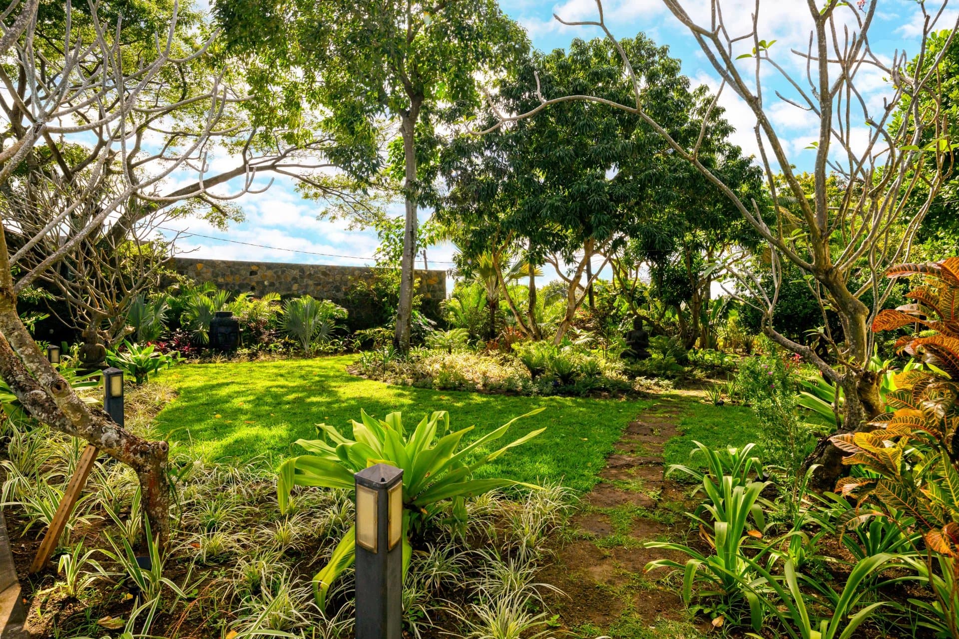 Property image n°11