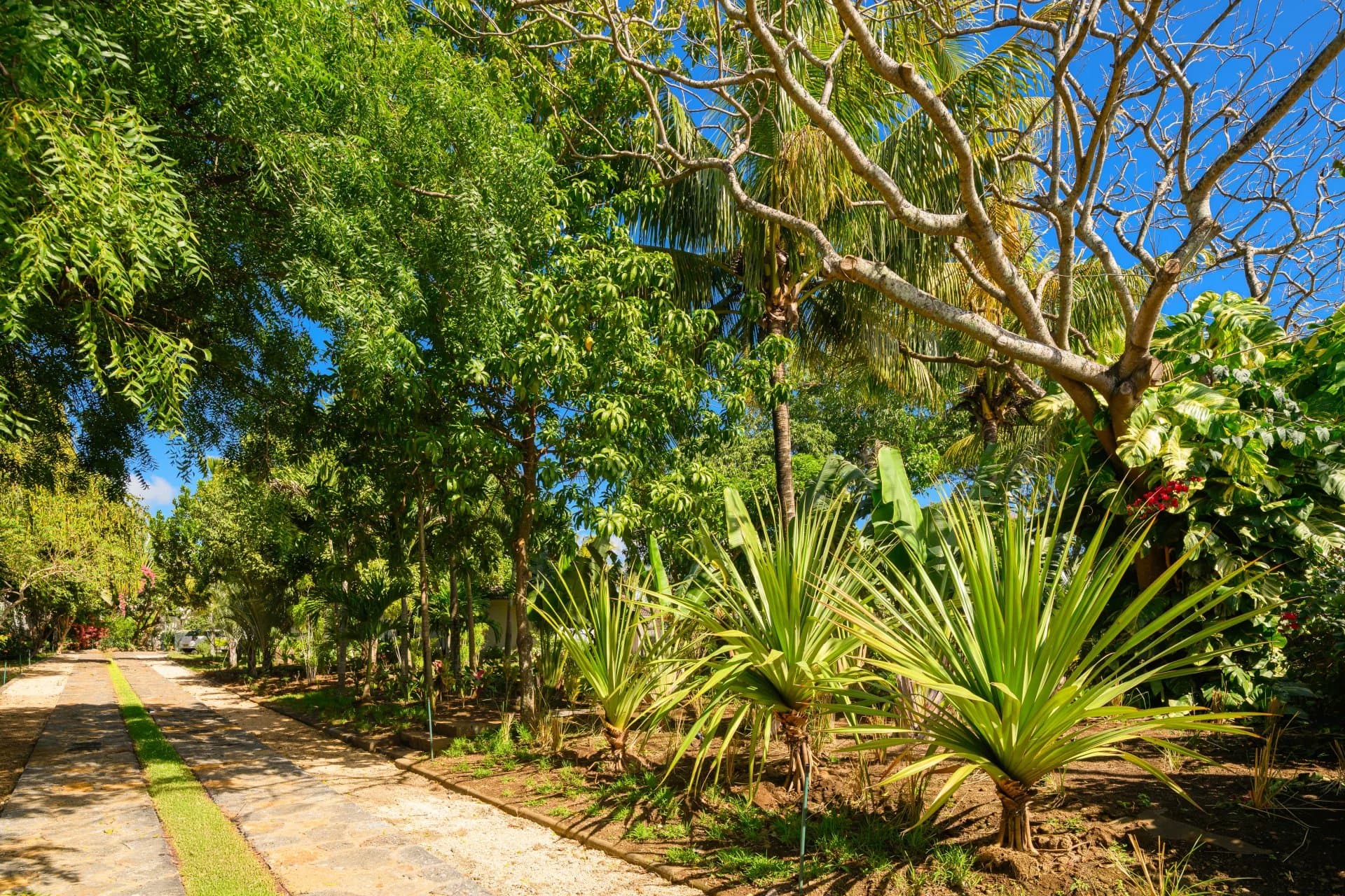 Property image n°15