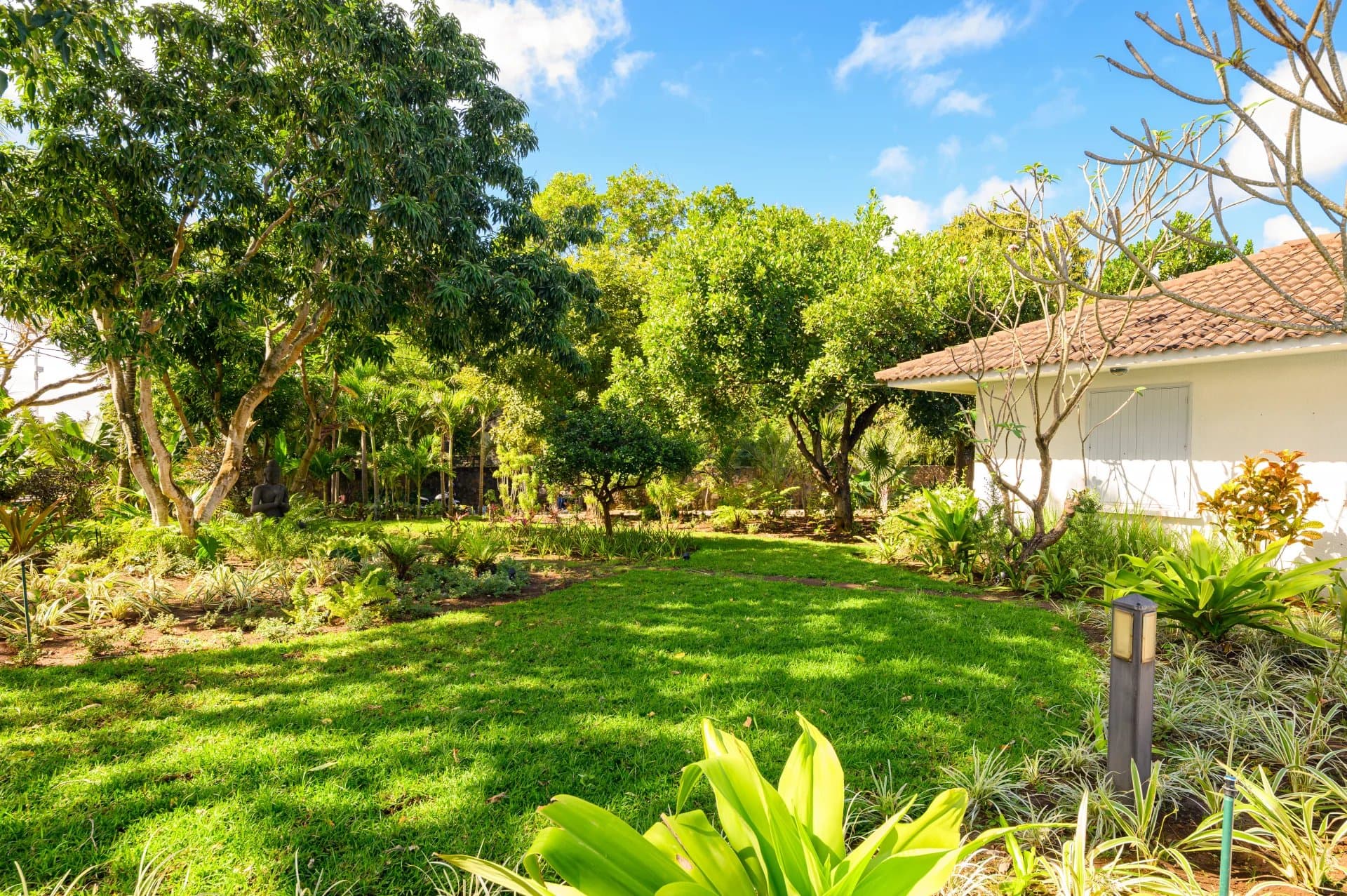 Property image n°17